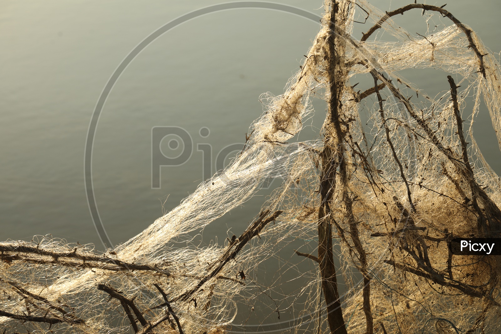 A Damaged Tangled Fishing net