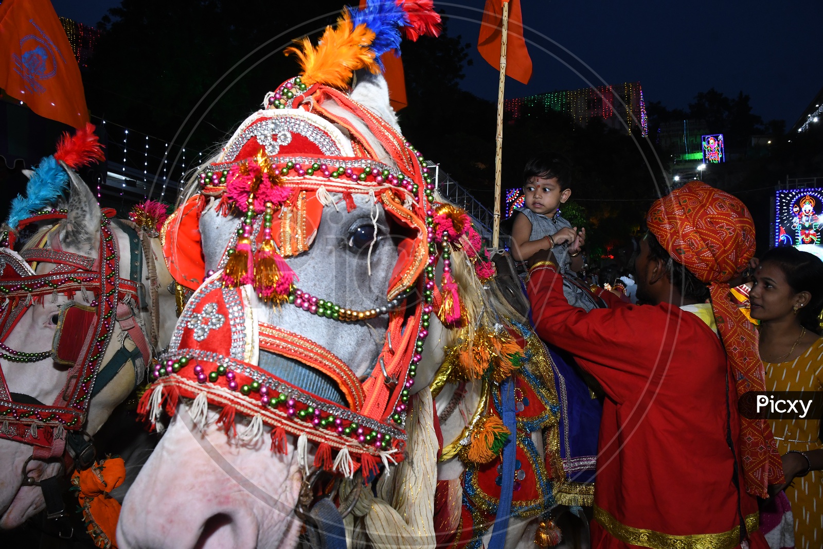 Decorated Horses At Hindu Goddess Kanaka Durga Procession