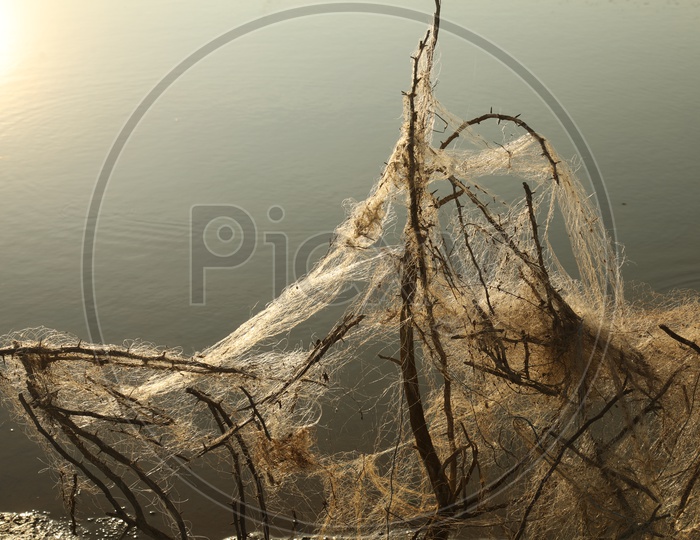 A Tangled Fishing net by the lake