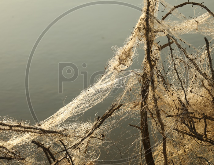 A Damaged Tangled Fishing net