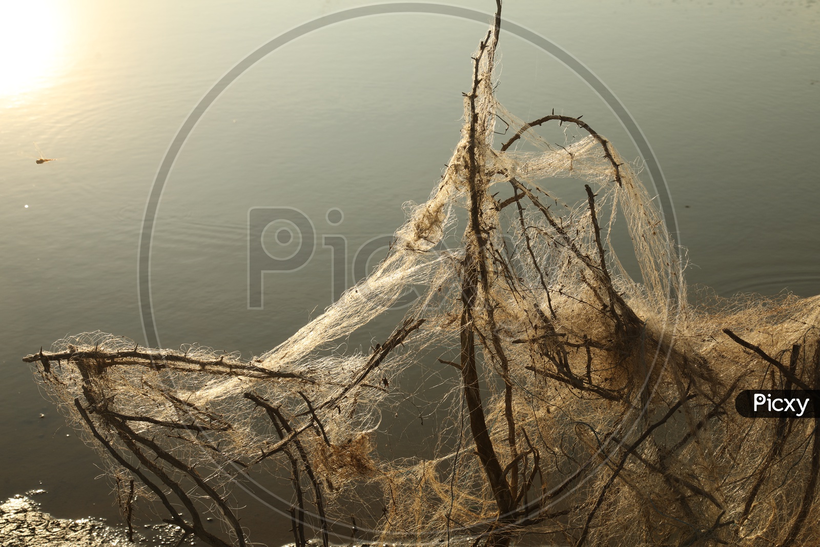 A Tangled Fishing net by the lake
