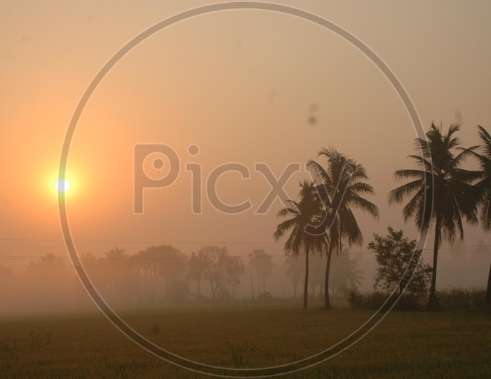 A Rural Sunrise in Vijayawada during winters