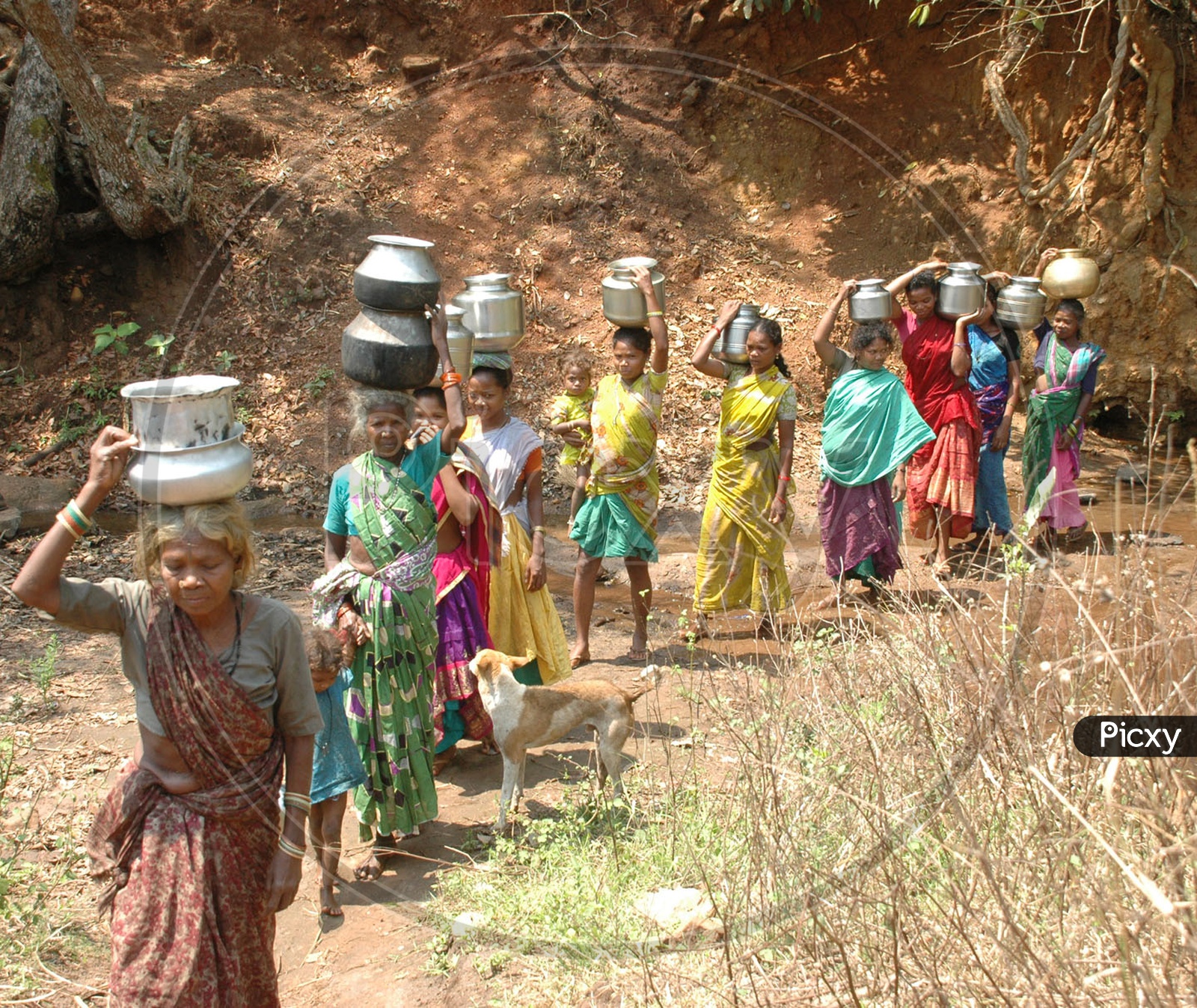 Indian Tribal Women carrying water over their heads
