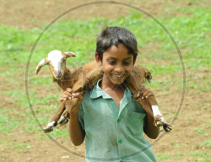 Close up of Indian boy carrying lamb on his shoulders
