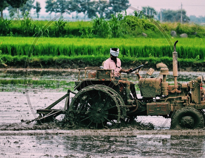 Indian farmer using tractor in field