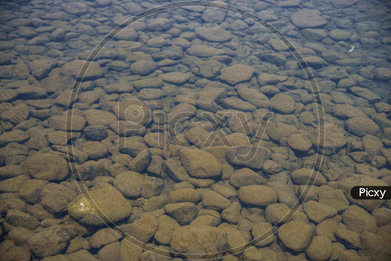 Stones Under Water  Closeup Forming a Background