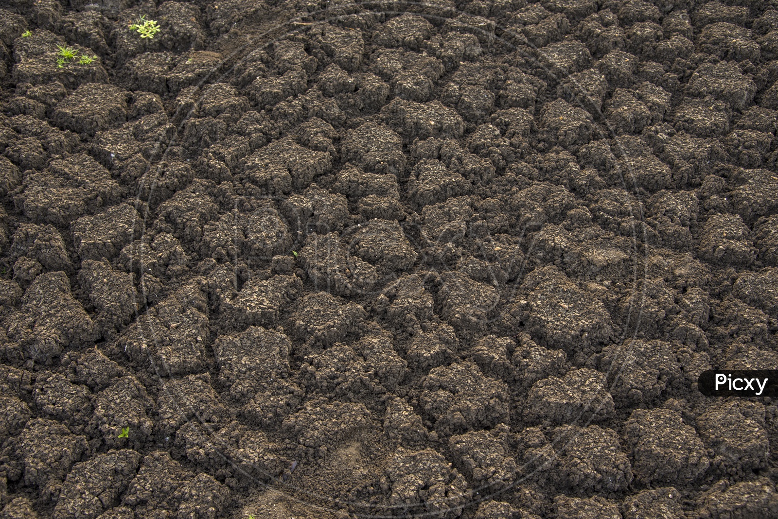 Drought Land With Dried Cracked Soil With Seamless Patterns Forming a Background