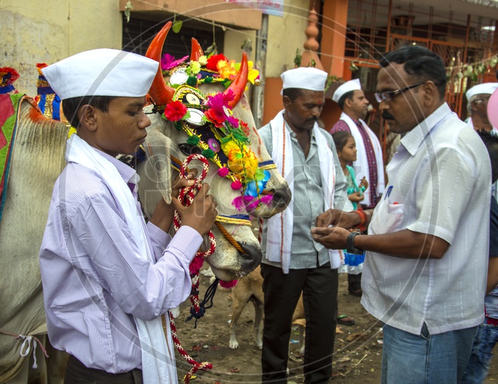 Nagpur Farmers Celebrating Pola Festival by Decorated Bulls on Streets