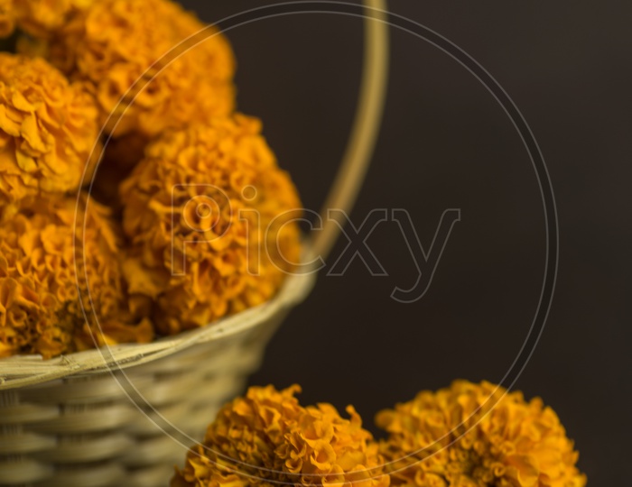 Marigold Flowers In a Pooja Basket on an Black Background