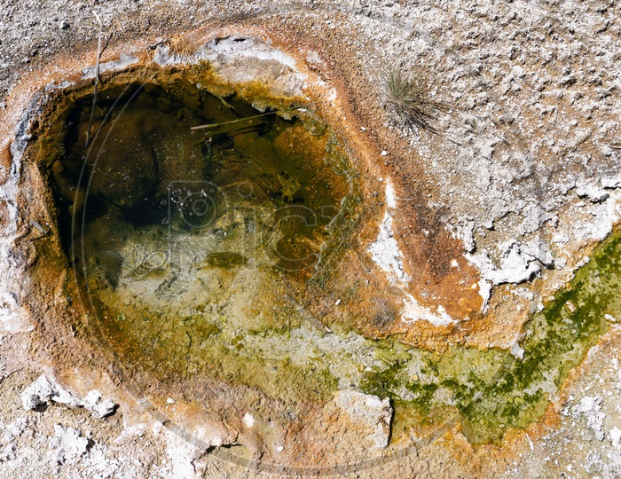Spring Water with moss in  Yellowstone National Park
