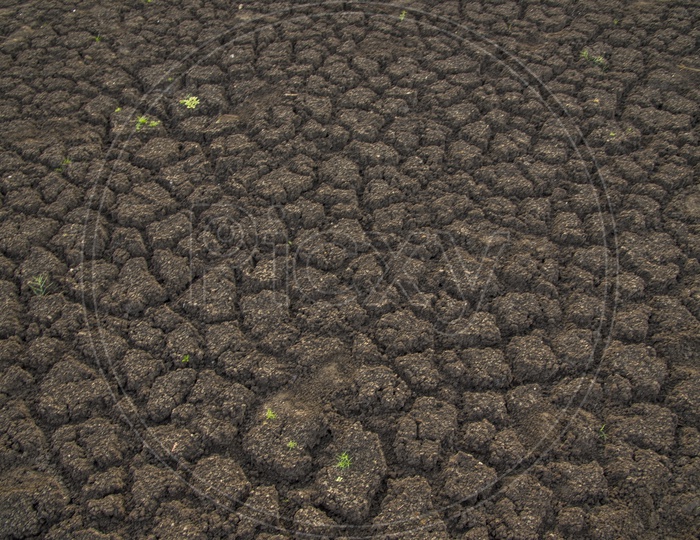 Drought Land With Dried Cracked Soil With Seamless Patterns Forming a Background