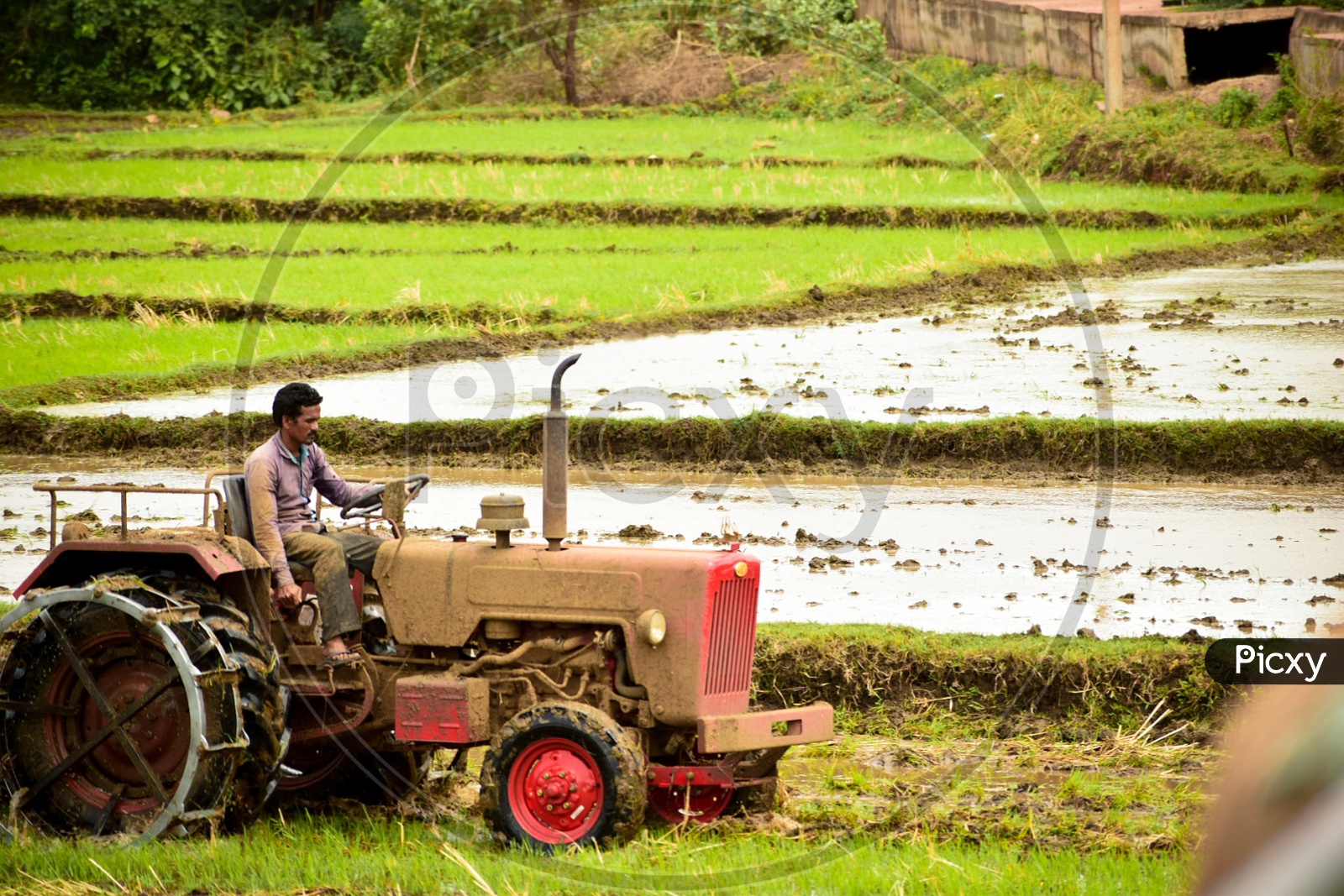 Farmer and his tractor