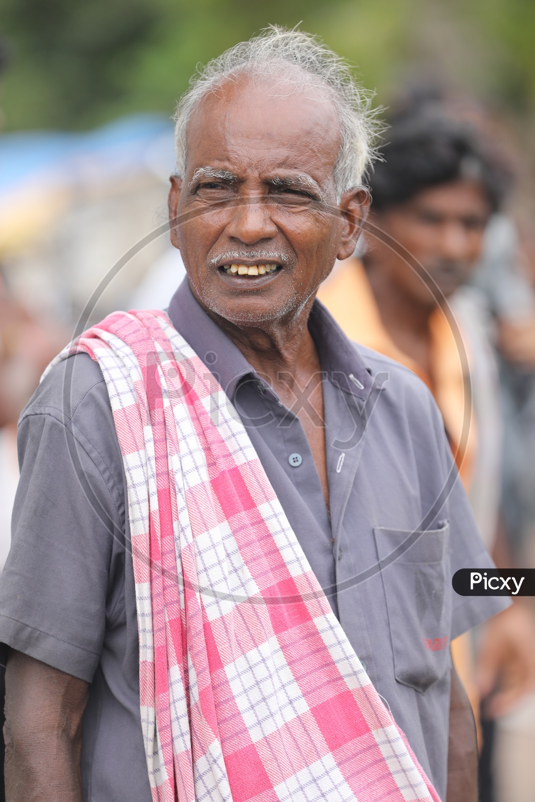 Image of Indian Rural Old Man with Bald Head-ZF785137-Picxy