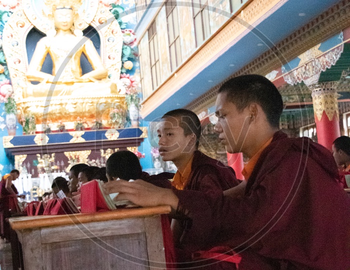 Buddhist Monks Chanting By Sitting In a Temple At Namdroling  Monastery  Golden Temple