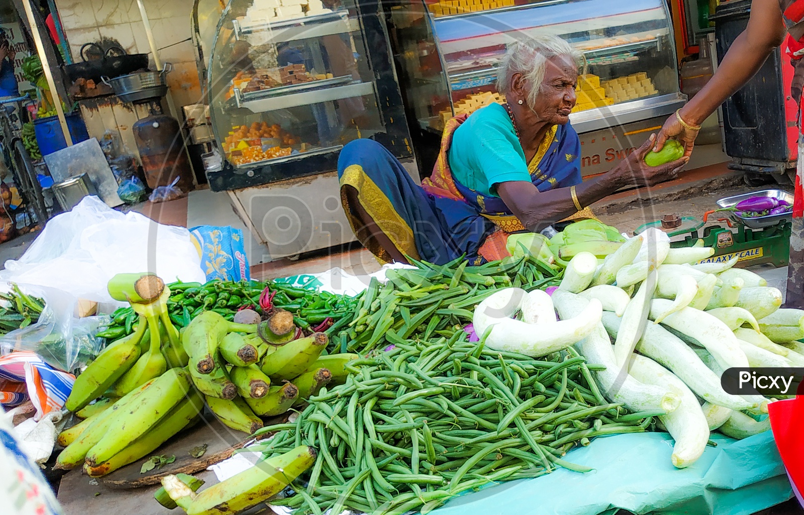Vegetable Vendor - Aged Vendor