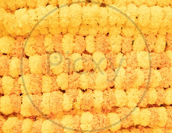 Marigold Flower Garlands Closeup