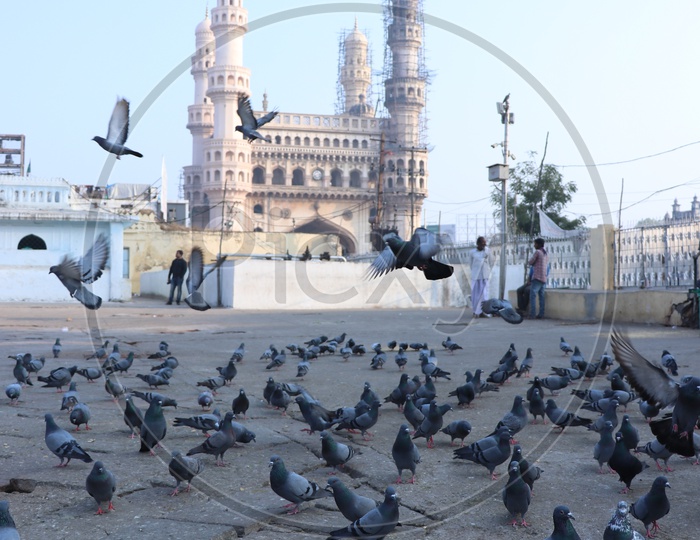 Charminar View From Mecca Masjidh With Pigeons And Visitors