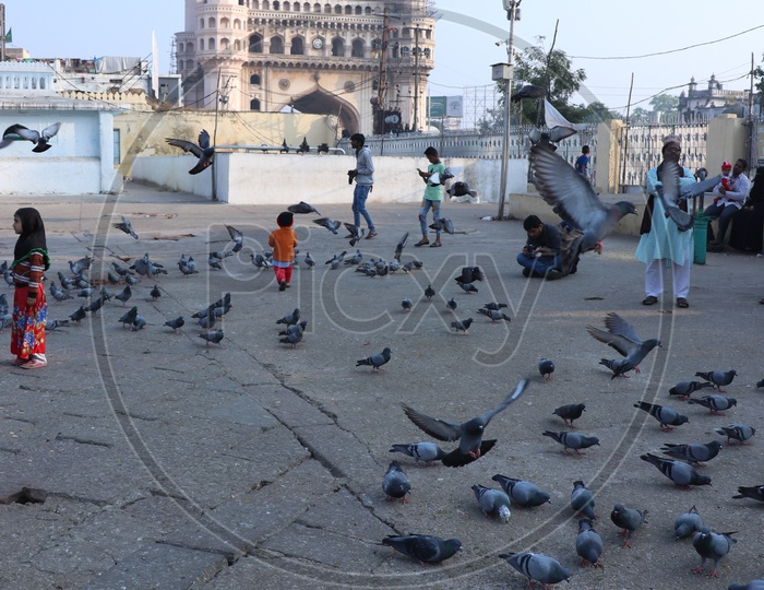Composition Of Charminar With Pigeons  in  Mecca Masjidh