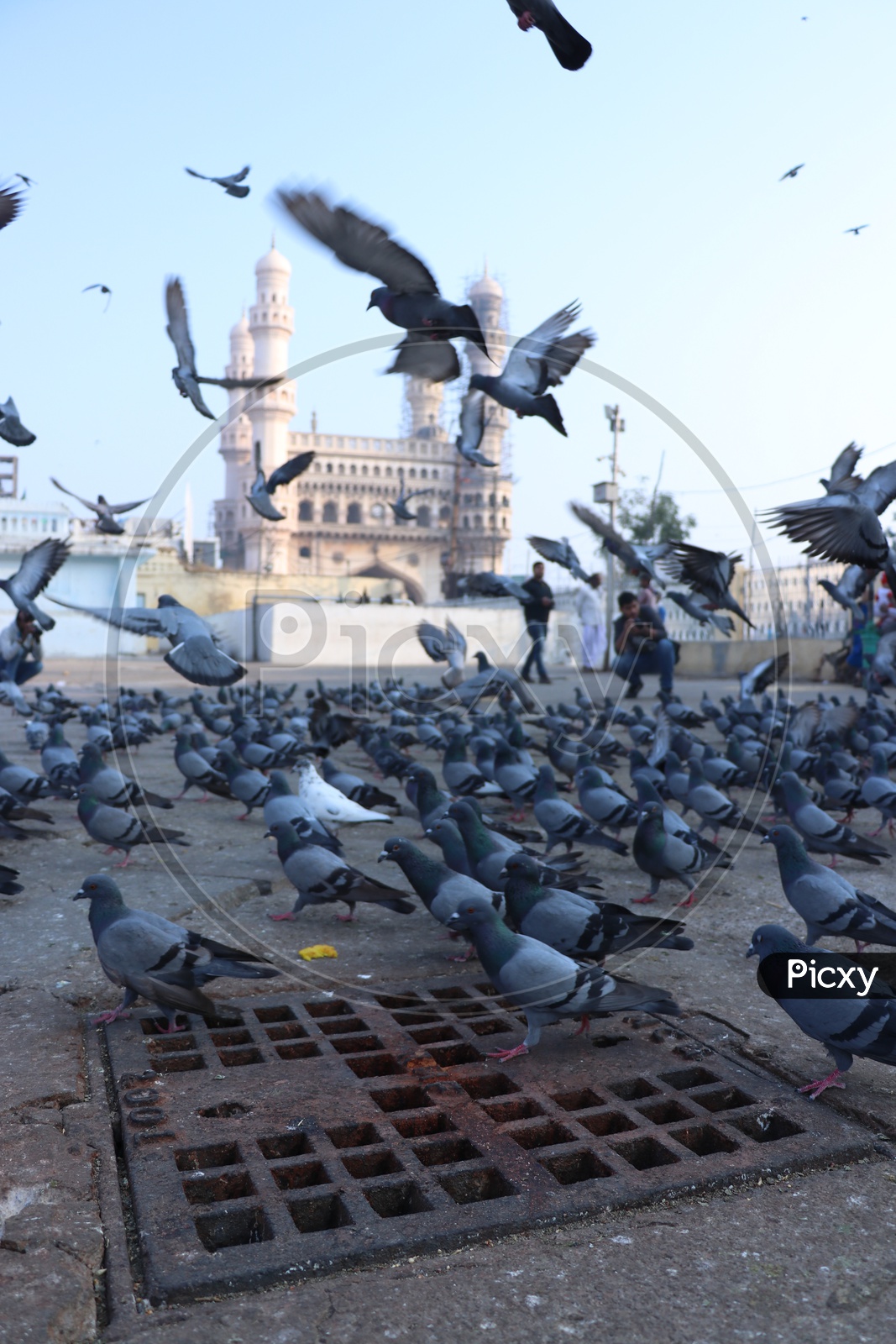 Composition Of Charminar With Pigeons  in  Mecca Masjidh