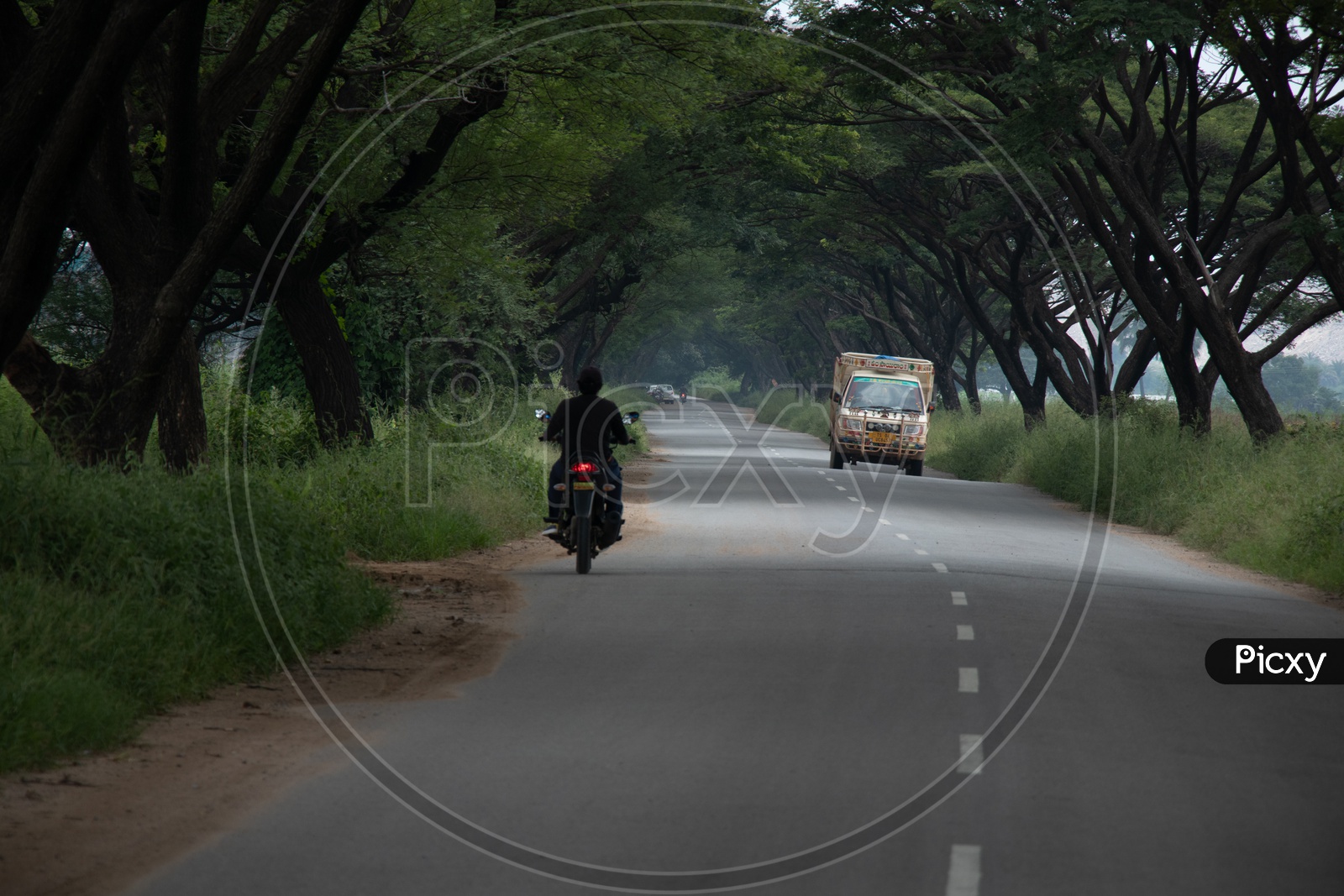 Bike Passing  Through  The Canopy Of trees Over Rural Village Roads