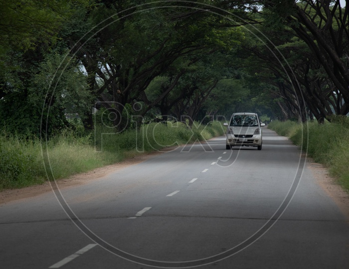 Vehicles Passing Through  The Canopy Of trees Over Rural Village Roads