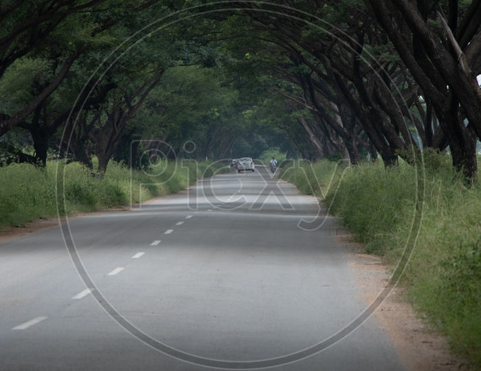 Vehicles Passing Through  The Canopy Of trees Over Rural Village Roads