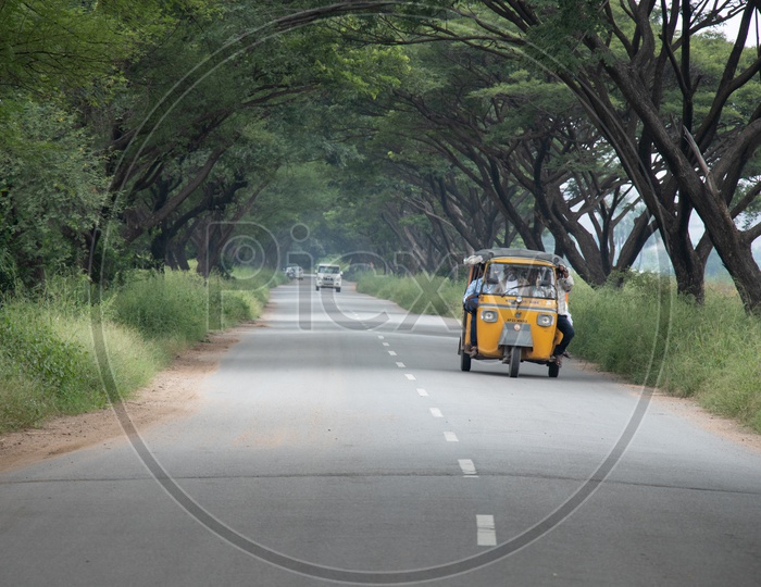 Autos Passing Through  The Canopy Of trees Over Rural Village Roads