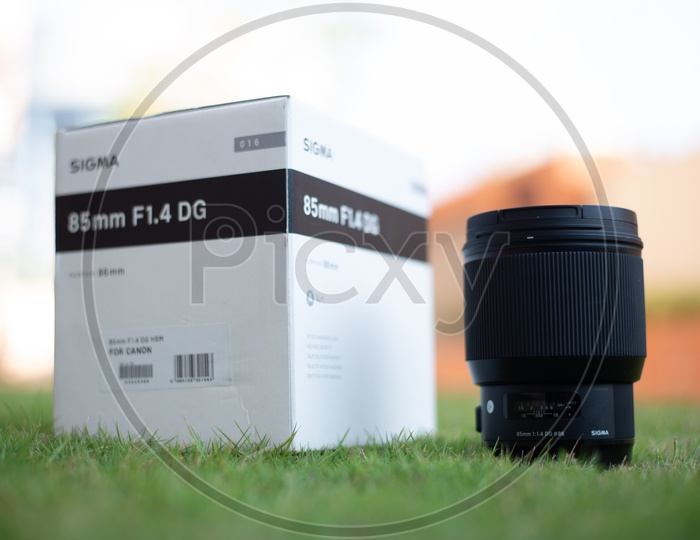 Canon Sigma 85mm  Lens  On Garden Lawn Grass