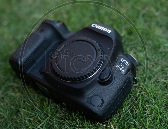 Canon 5D Mark IV DSLR Camera On Lawn Garden Grass Background