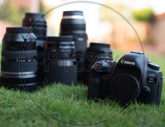 Canon 5D Mark IV DSLR Camera  With Lens On Lawn Garden Grass Background