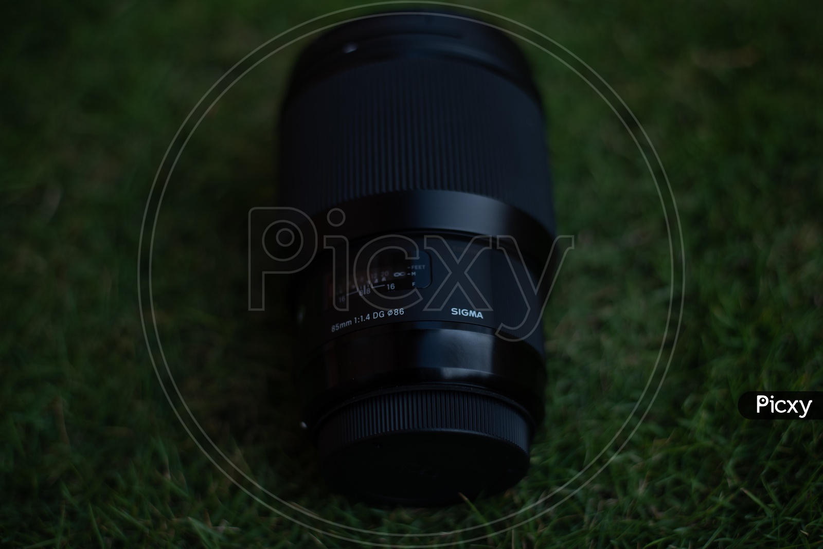Canon Sigma 85mm  Lens  On Garden Lawn Grass
