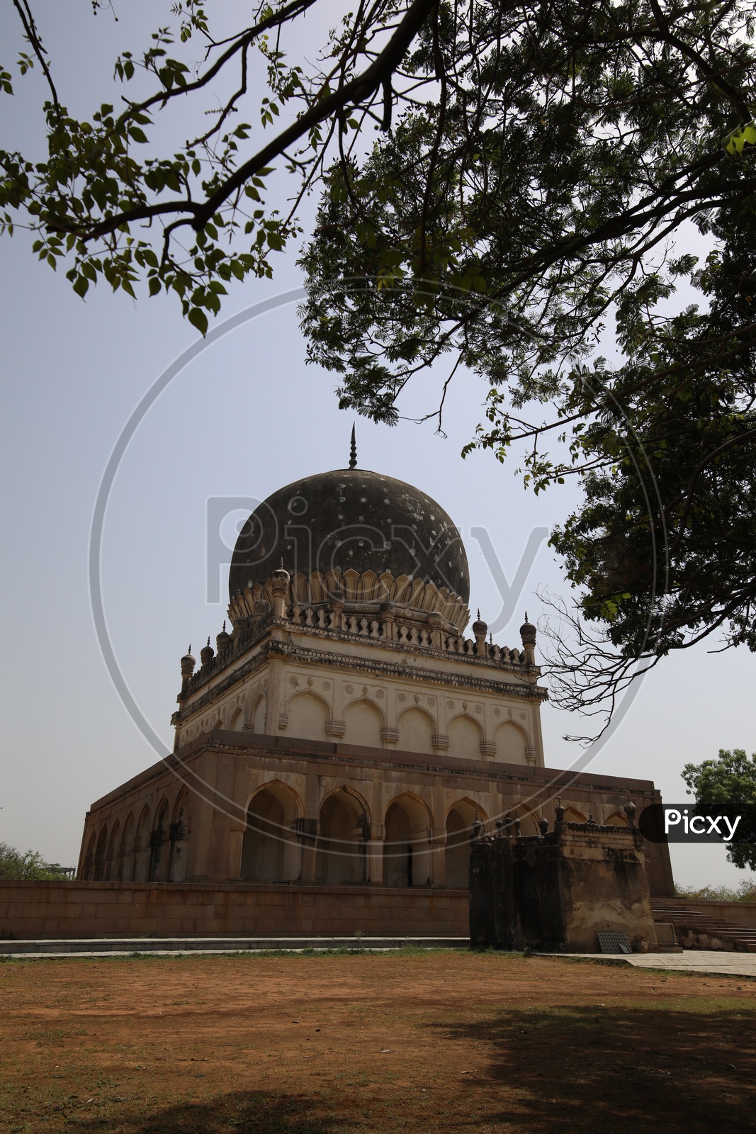 Qutub Shahi Tomb With Tree Canopy