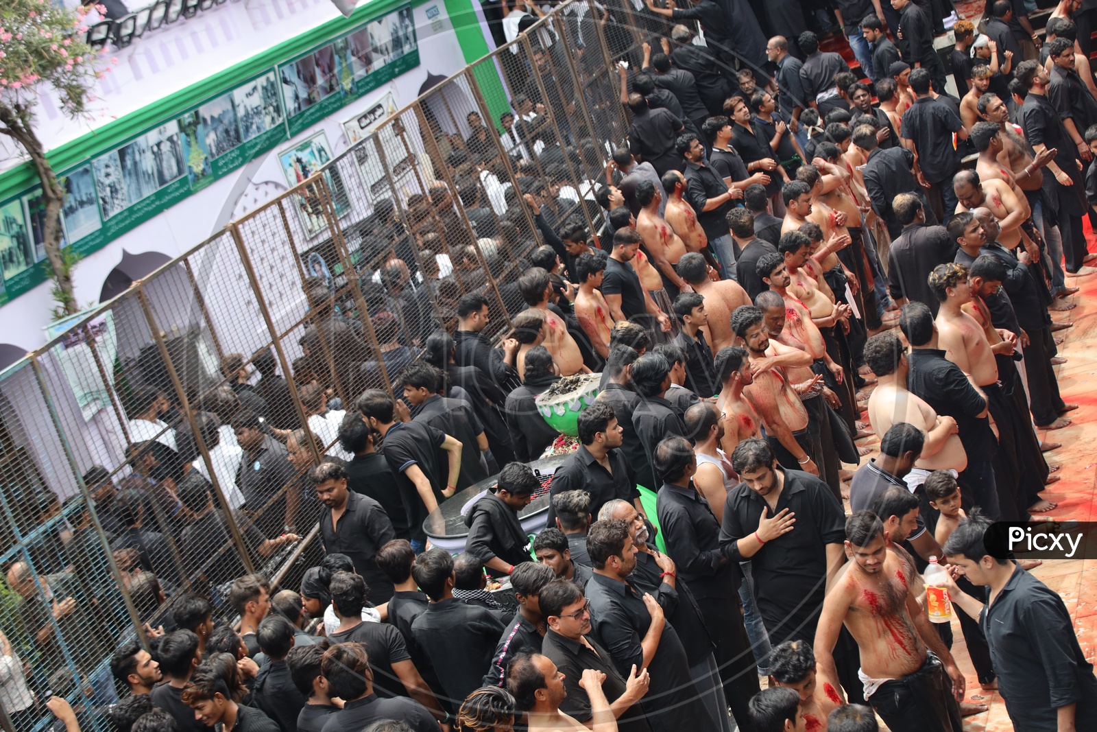 Muharram Mourning By Muslim Devotees At Bibi Ka Alawa  By Flagellation  With Blades Before Procession