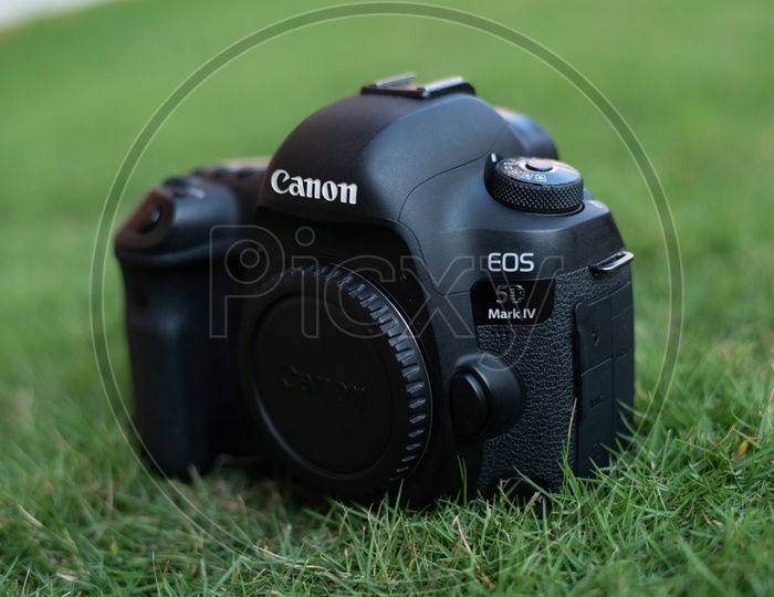 Canon 5D Mark IV DSLR Camera On Lawn Garden Grass Background
