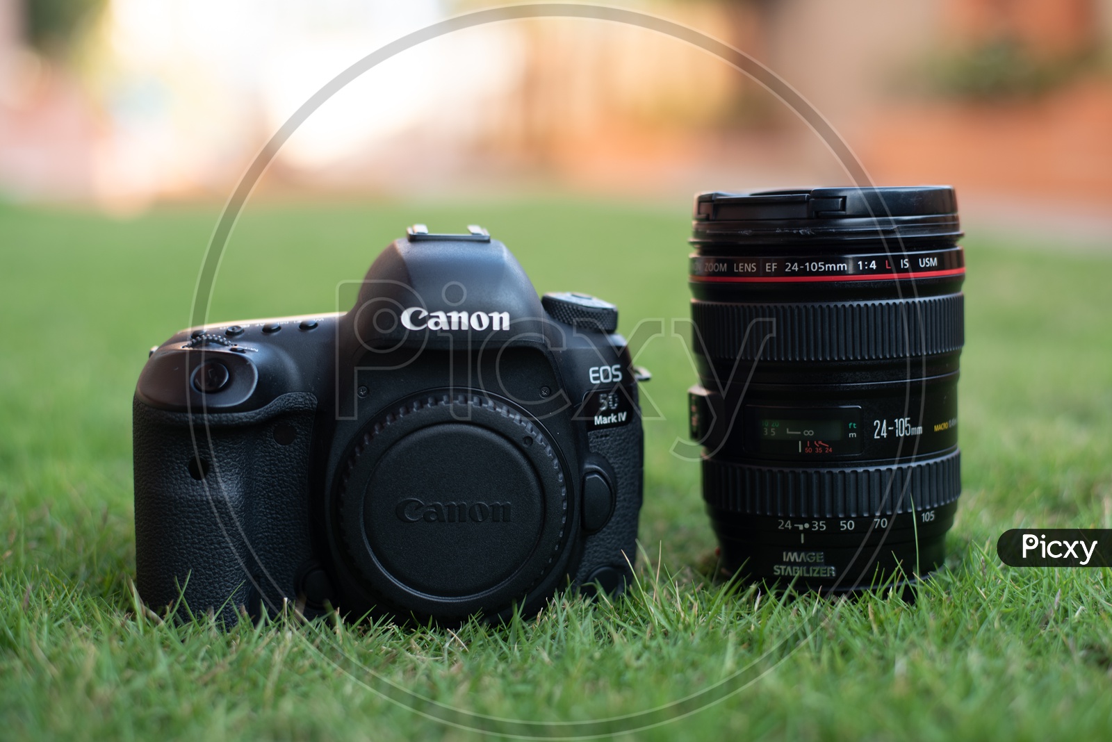Canon Eos 5D Mark IV   DSLR Camera With Canon  24-104 mm Lens On Lawn Garden Grass Backdrop