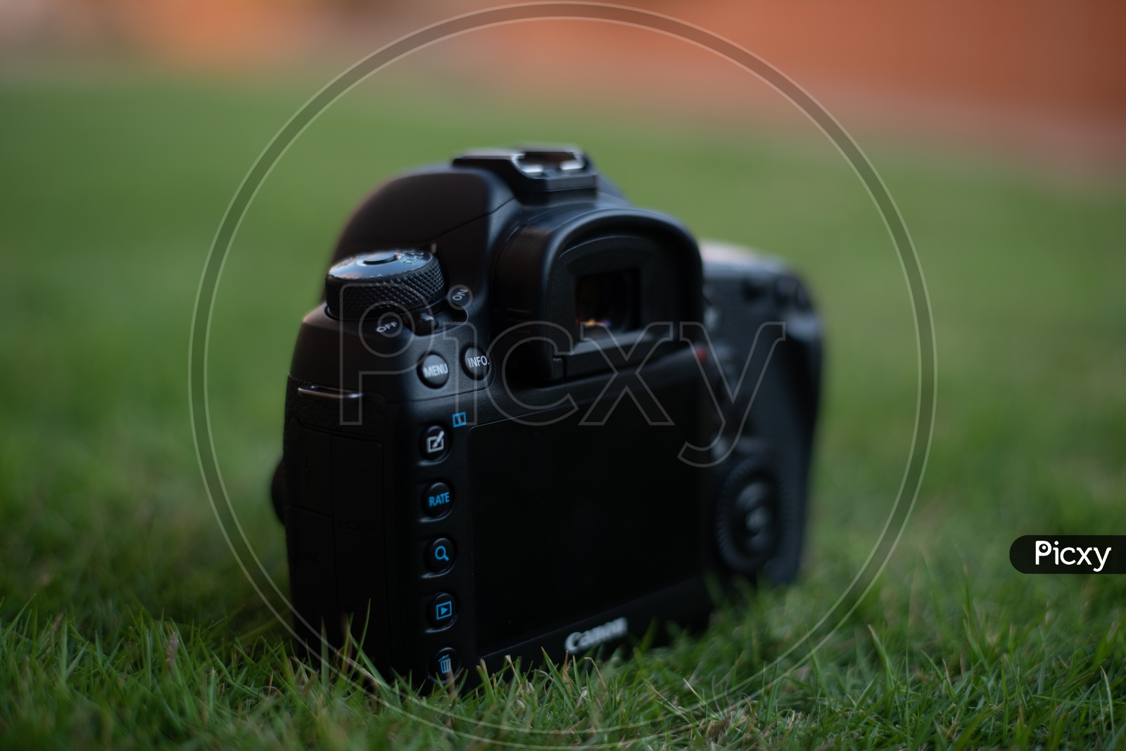 Canon Eos 5D Mark IV   DSLR Camera On Lawn Garden Grass Backdrop
