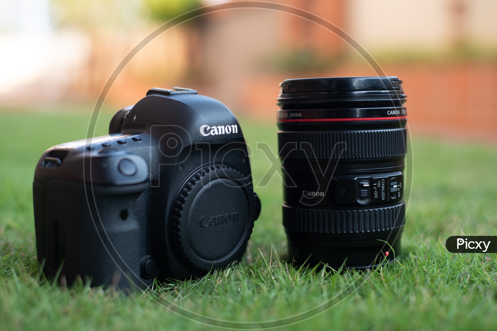 Canon Eos 5D Mark IV   DSLR Camera With Canon  24-104 mm Lens On Lawn Garden Grass Backdrop