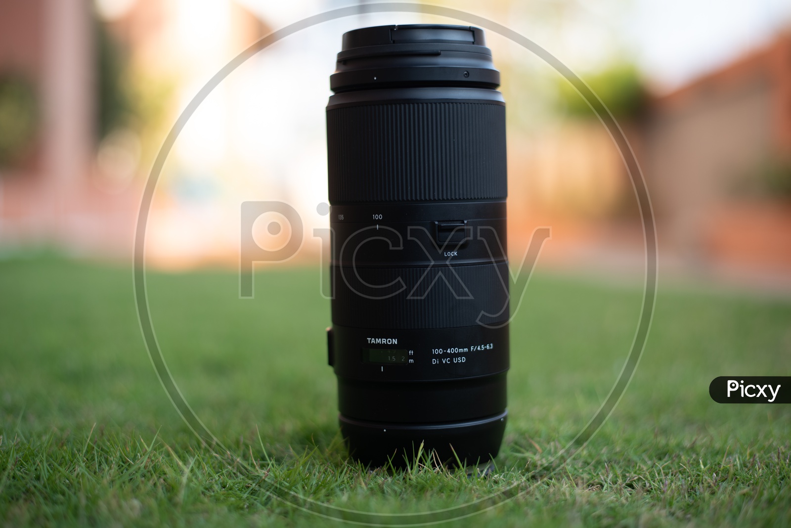 Tamron 100-400 mm Teloephoto DSLR Lens Over Lawn Garden Green Grass Background