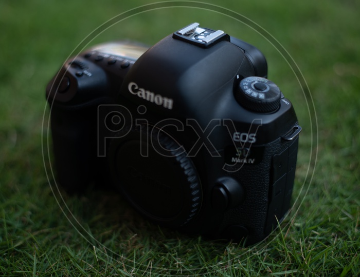 Canon Eos 5D Mark IV   DSLR Camera On Lawn Garden Grass Backdrop