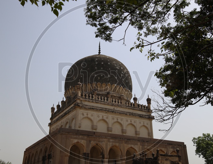 Qutub Shahi Tomb With Tree Canopy