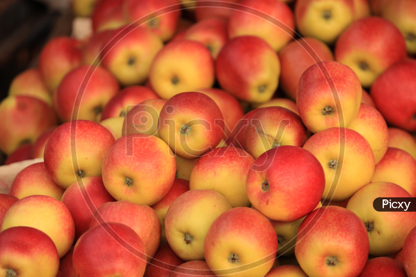 Apples Closeup In a Vendor Stall