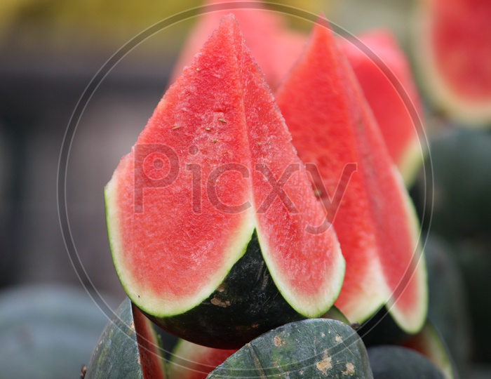Watermelon  Cut Into Pieces  At a Fruit Stall