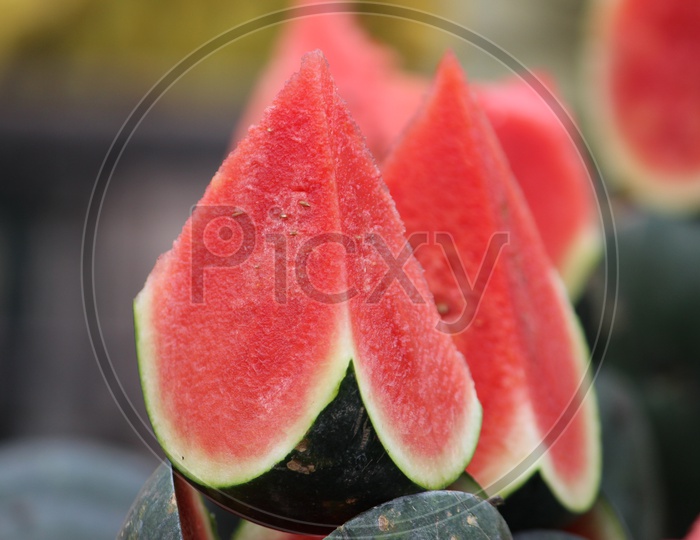 Watermelon  Cut Into Pieces  At a Fruit Stall
