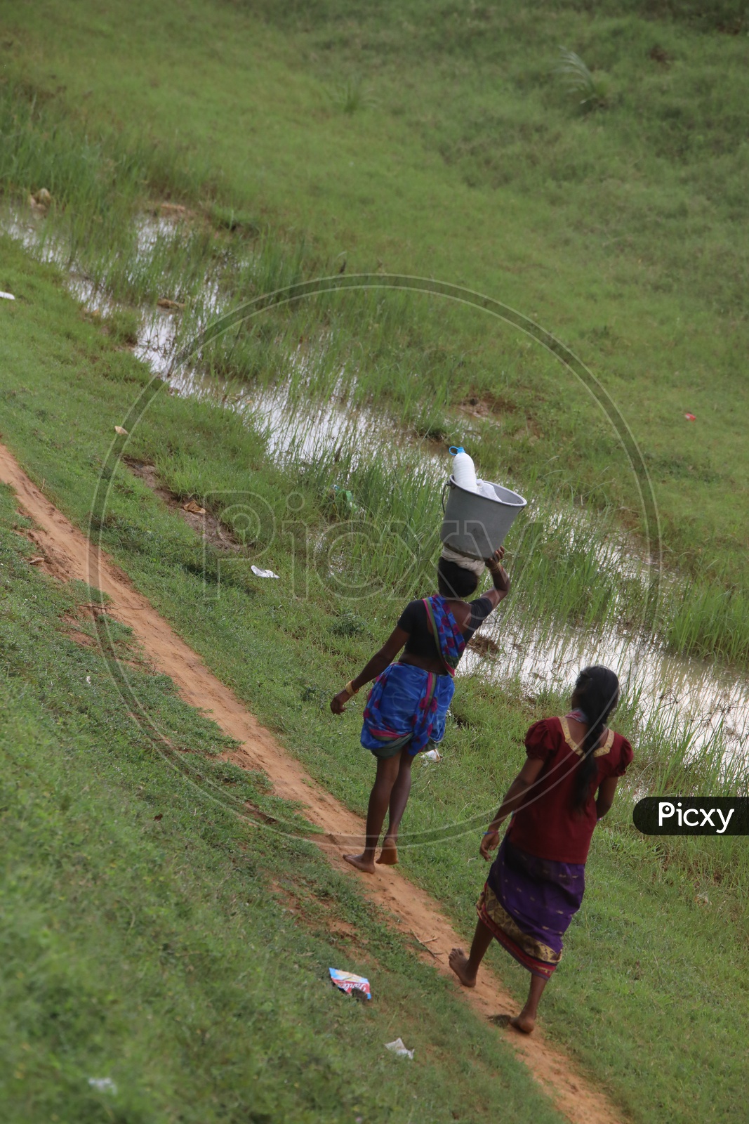 Rural Village Indian Woman Carrying Vessel on Head