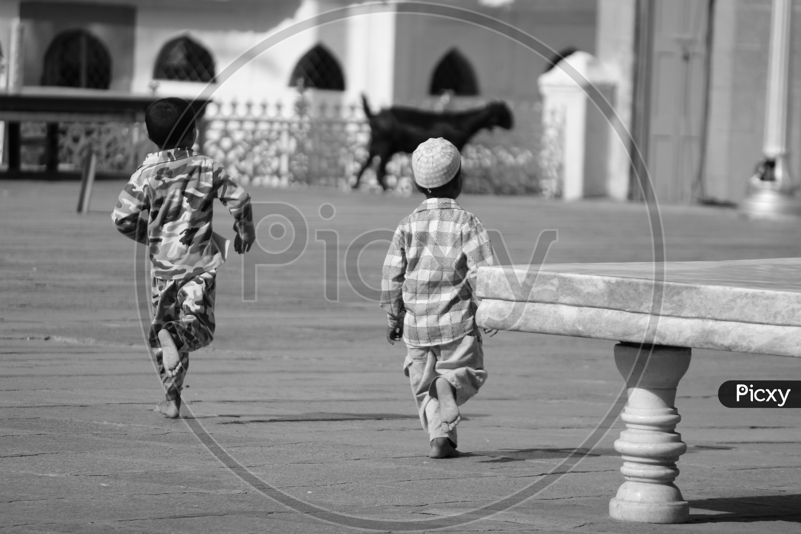 Muslim Boy Playing   In Mecca Masjid Compound