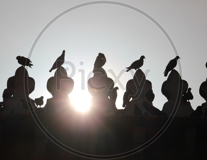 Silhouette Of Pigeons Sitting On Mecca Masjid Terrace And Sky As Background
