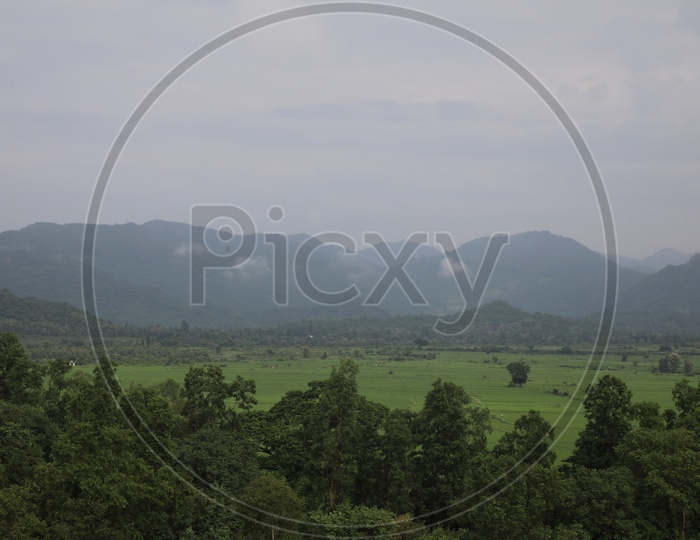 Landscape Of Agricultural Fields With Big Trees