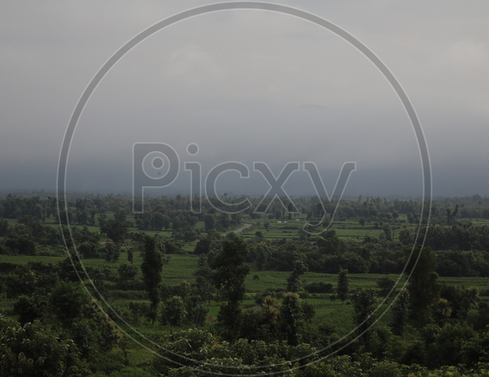 Landscape Of Agricultural Fields With Big Trees