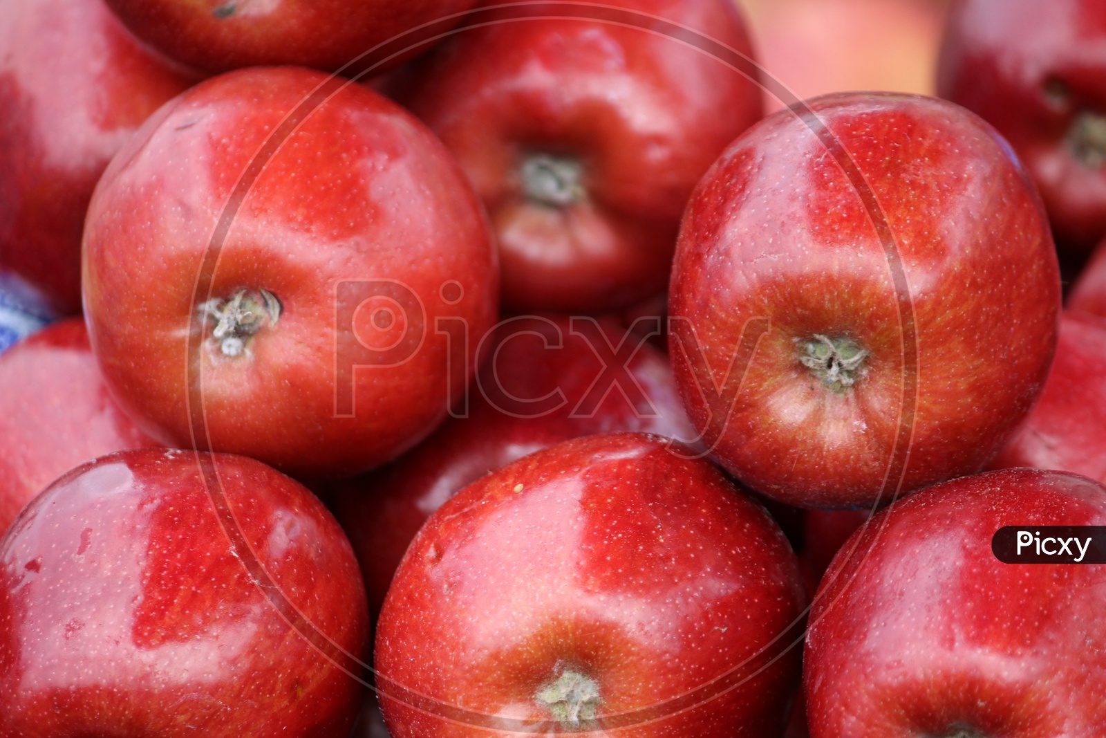 Apples Closeup in a Fruit  Vendor Stall