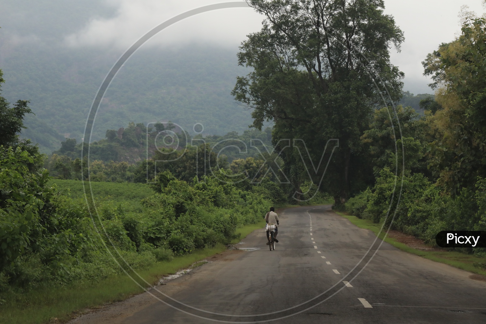 A Rural Indian Man Riding Bicycle on Rural Village Roads